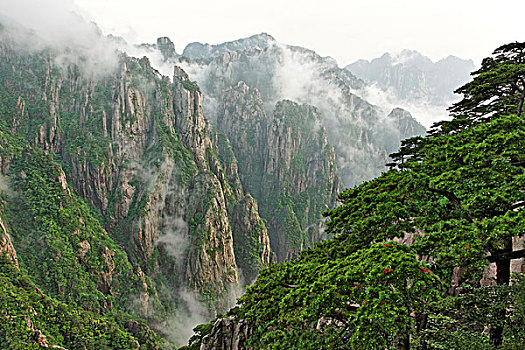 春yao哪里有卖淘宝C1B8D97C5-18975